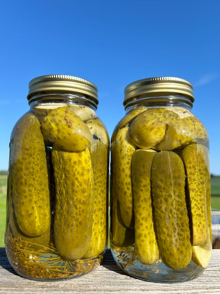 Garlicky Dill Pickles